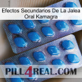 Kamagra Oral Jelly Side Effects viagra2